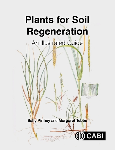Паперова книга «Plants for Soil Regeneration: An Illustrated Guide», авторів Маргарет Теббс, Саллі Пінхі - фото №1