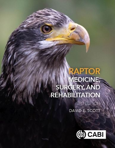 Бумажная книга «Raptor Medicine, Surgery, and Rehabilitation», автор Дэвид Скотт - фото №1