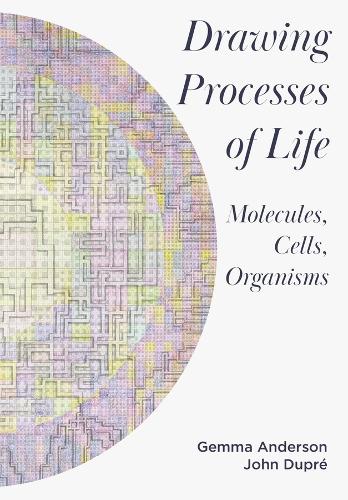 Бумажная книга «Drawing Processes of Life: Molecules, Cells, Organisms», автор Джемма Андерсон-Темпини - фото №1