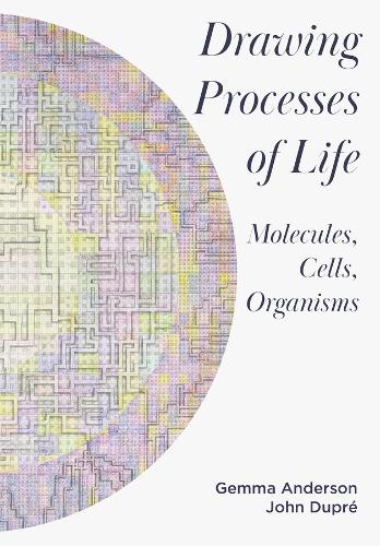 Бумажная книга «Drawing Processes of Life: Molecules, Cells, Organisms», автор Джемма Андерсон-Темпини - фото №1