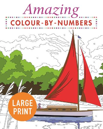 [object Object] «Amazing Colour-by-Numbers Large Print», автор Arcturus Publishing - фото №1