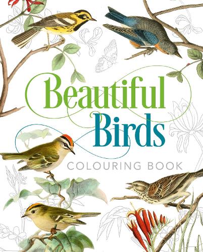 Бумажная книга «Beautiful Birds Colouring Book» - фото №1
