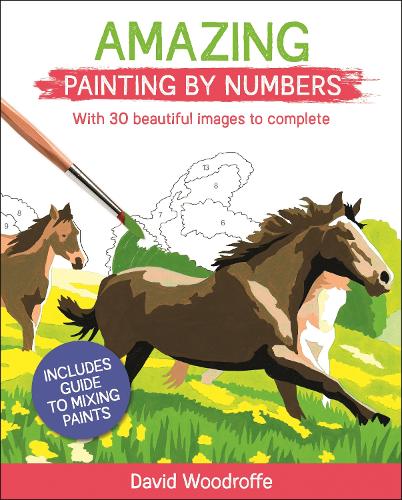 Паперова книга «Amazing Painting by Numbers: With 30 Beautiful Images to Complete. Includes Guide to Mixing Paints», автор Девід Вудрофф - фото №1