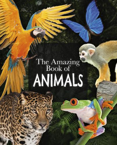 Бумажная книга «The Amazing Book of Animals», авторов Мериэль Лланд, Майкл Лич - фото №1