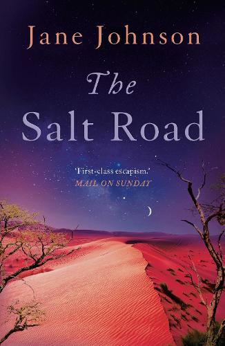 Паперова книга «The Salt Road», автор Джейн Джонсон - фото №1