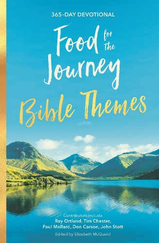 Паперова книга «Food for the Journey Bible Themes: 365-Day Devotional», автор Елізабет Маккуойд - фото №1
