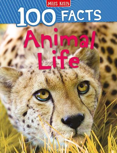 Паперова книга «100 Facts Animal Life», автор Барбара Тейлор - фото №1