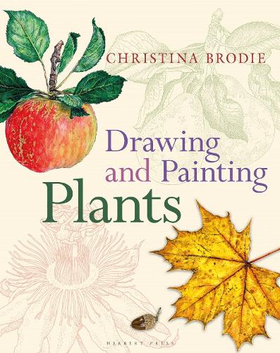 Паперова книга «Drawing and Painting Plants», автор Крістіна Броді - фото №1