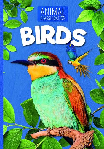 Бумажная книга «Birds», автор Чарли Огден - фото №1