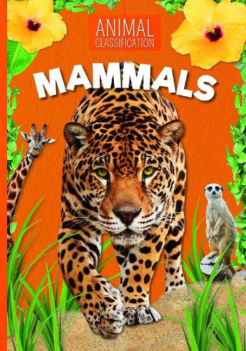 Паперова книга «Mammals», автор Чарлі Огден - фото №1