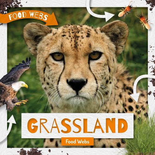 Бумажная книга «Grassland Food Webs», автор Харриет Брандл - фото №1