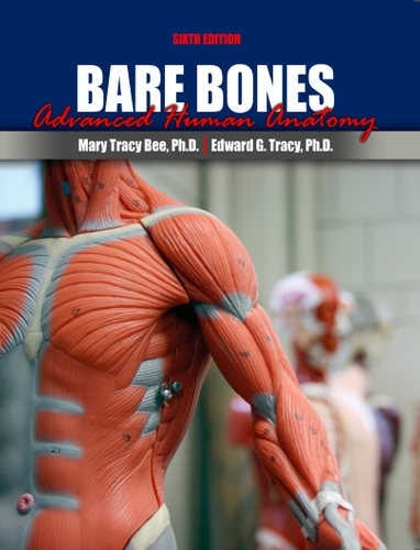 Бумажная книга «Bare Bones: Advanced Human Anatomy», автор Мэри Трейси Би - фото №1