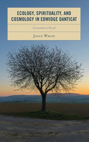 Бумажная книга «Ecology, Spirituality, and Cosmology in Edwidge Danticat: Crossroads as Ritual», автор Джойс Вайт - фото №1