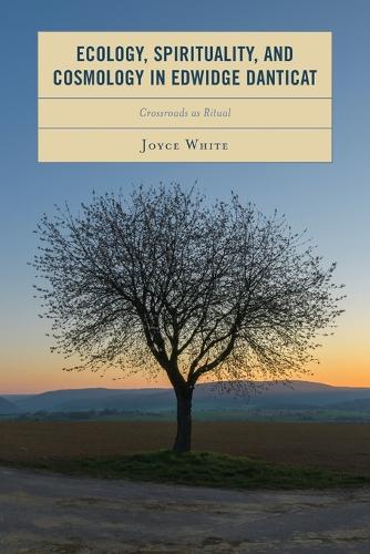 Бумажная книга «Ecology, Spirituality, and Cosmology in Edwidge Danticat: Crossroads as Ritual», автор Джойс Вайт - фото №1