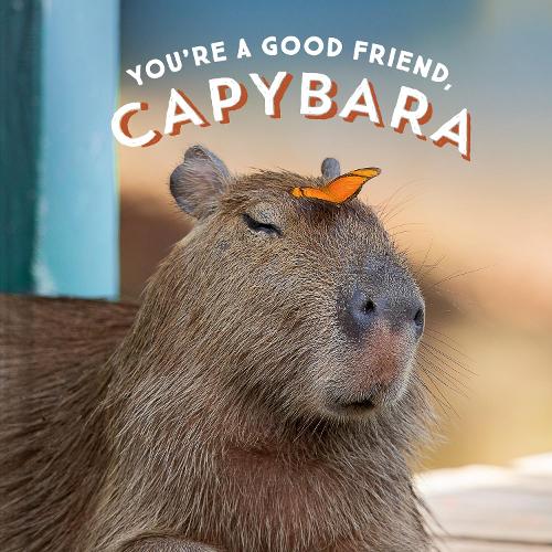 Паперова книга «You're a Good Friend, Capybara», автор Chronicle Books - фото №1