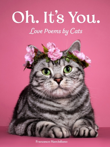 Бумажная книга «Oh. It's You.: Love Poems by Cats», автор Франческо Марчиулиано - фото №1
