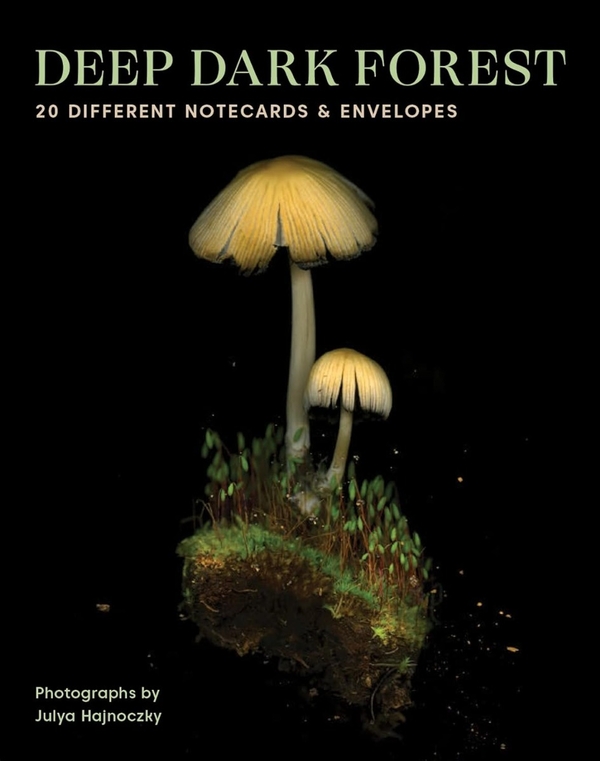 Бумажная книга «Deep Dark Forest Notes: 20 Different Notecards and Envelopes», автор Джулия Хайноцки - фото №1