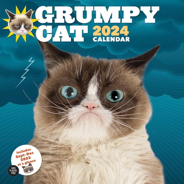 [object Object] «2024 Wall Cal: Grumpy Cat» - фото №1