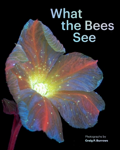 Бумажная книга «What the Bees See» - фото №1