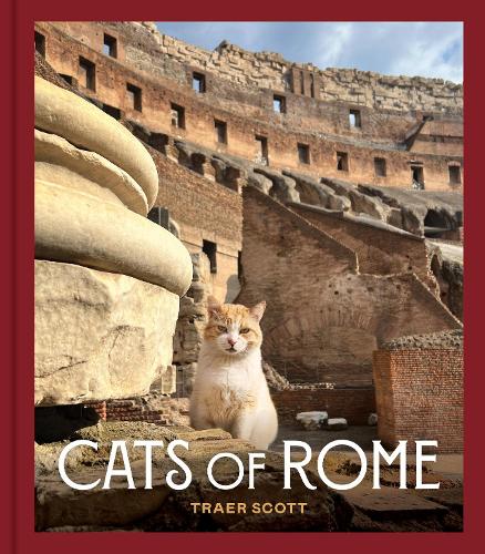 Бумажная книга «Cats of Rome», автор Траер Скотт - фото №1