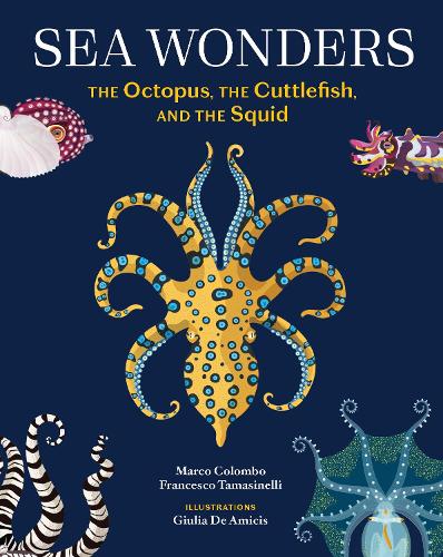 Паперова книга «Sea Wonders: The Octopus, the Cuttlefish, and the Squid», автор Франческо Томазінеллі - фото №1