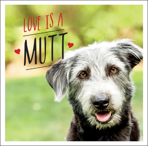 Бумажная книга «Love is a Mutt: A Dog-Tastic Celebration of the World's Cutest Mixed and Cross Breeds», автор Чарли Эллис - фото №1