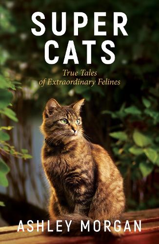 Бумажная книга «Super Cats: Inspirational True Stories of Real-Life Cat Heroes That Will Melt Your Heart», автор Эшли Морган - фото №1