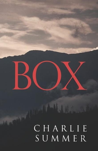 Бумажная книга «Box», автор Чарли Саммер - фото №1