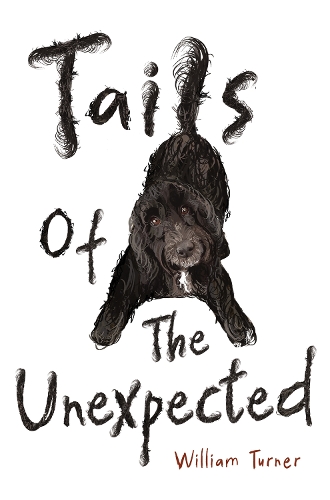 Паперова книга «Tails of The Unexpected», автор Вільям Тернер - фото №1