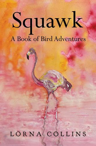 Паперова книга «Squawk: A Book of Bird Adventures», автор Лорна Коллінз - фото №1