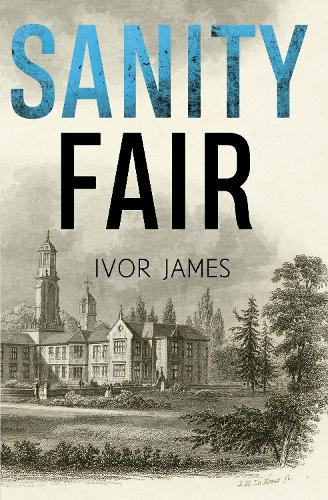 Бумажная книга «Sanity Fair», автор Айвор Джеймс - фото №1
