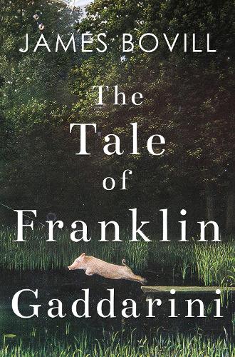 Бумажная книга «The Tale of Franklin Gaddarini», автор Джеймс Бовилл - фото №1