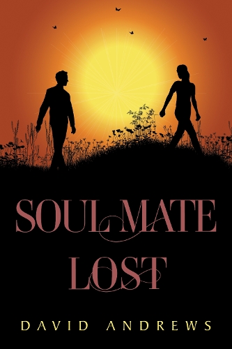 Паперова книга «Soul Mate Lost», автор Девід Ендрюс - фото №1