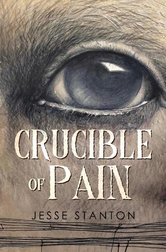 Бумажная книга «Crucible of Pain», автор Джесси Стэнтон - фото №1