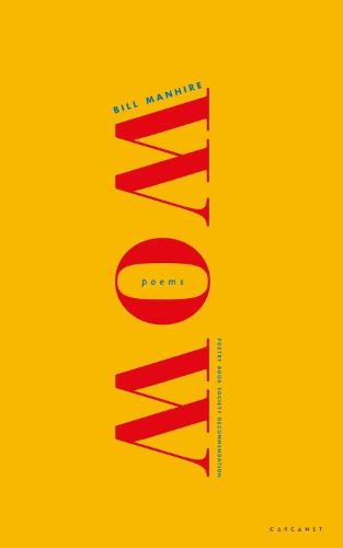 Паперова книга «Wow», автор Білл Манхір - фото №1