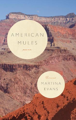 Паперова книга «American Mules», автор Мартіна Еванс - фото №1