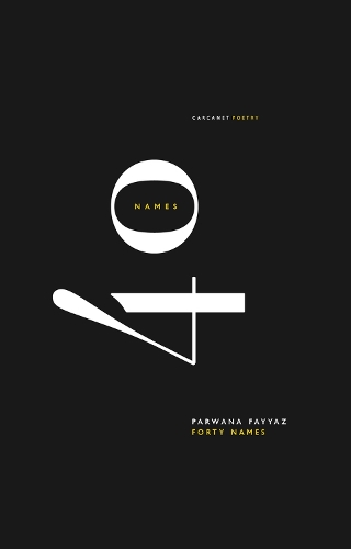 Бумажная книга «Forty Names», автор Парвана Файяз - фото №1