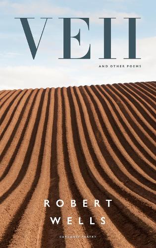 Бумажная книга «Veii and other poems», автор Роберт Уэллс - фото №1