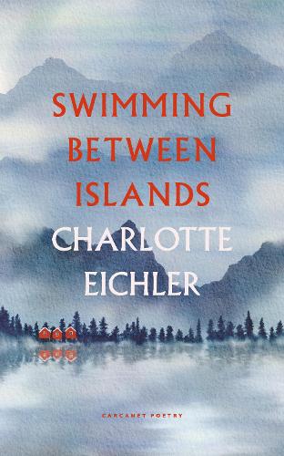Бумажная книга «Swimming Between Islands», автор Шарлотта Эйхлер - фото №1