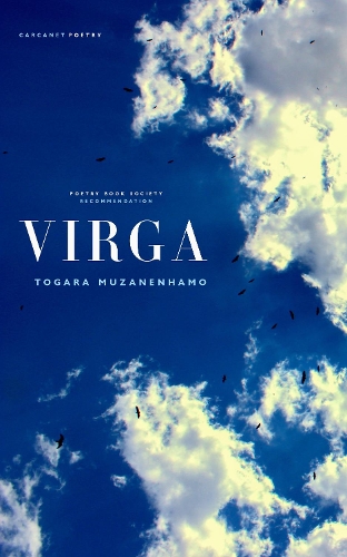 Бумажная книга «Virga», автор Тогара Музаненхамо - фото №1