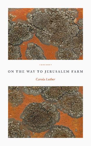Бумажная книга «On the Way to Jerusalem Farm», автор Карола Лютер - фото №1