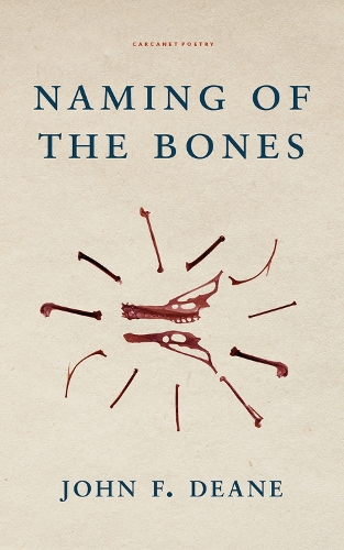 Паперова книга «Naming of the Bones», автор Джон Ф. Дін - фото №1