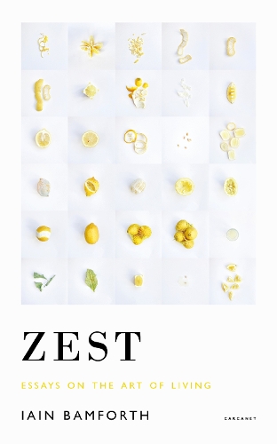 Бумажная книга «Zest: Essays on the Art of Living», автор Иэн Бэмфорт - фото №1
