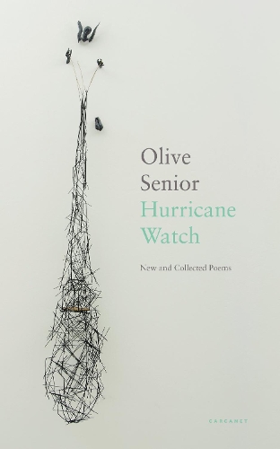 Бумажная книга «Hurricane Watch: New and Collected Poems», автор Олив Синиор - фото №1