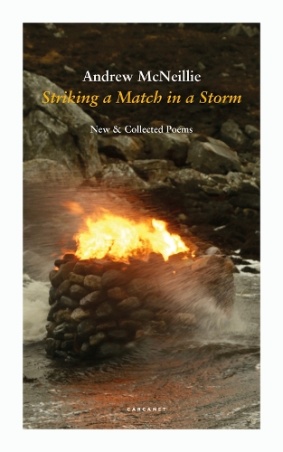 Бумажная книга «Striking a Match in a Storm: New and Collected Poems», автор Эндрю МакНили - фото №1
