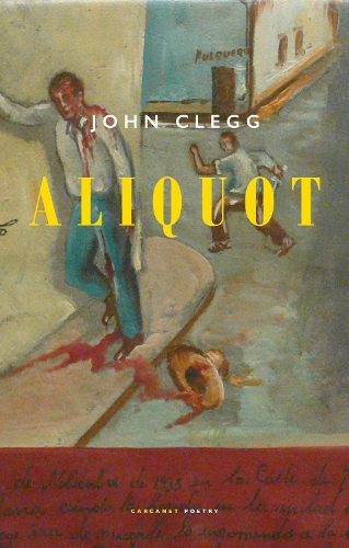 Бумажная книга «Aliquot», автор Джон Клегг - фото №1