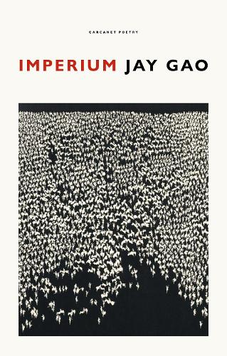 Бумажная книга «Imperium», автор Джей Гао - фото №1