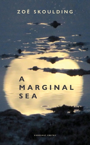 Бумажная книга «A Marginal Sea», автор Зои Скоулдинг - фото №1