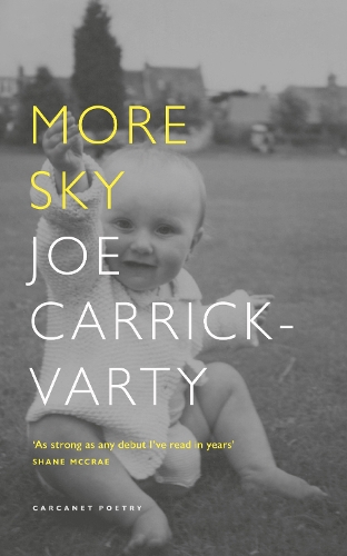 Бумажная книга «More Sky», автор Джо Каррик-Варти - фото №1