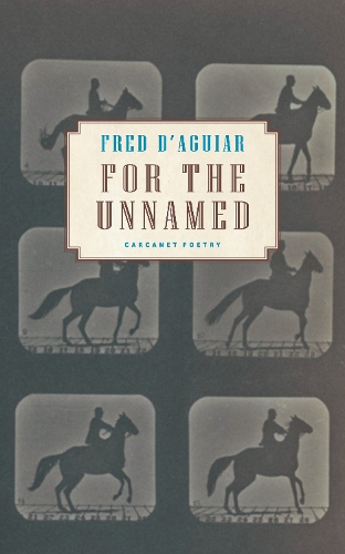 Бумажная книга «For the Unnamed», автор Фред Д'Агиар - фото №1